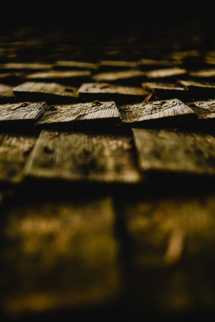 Close-up of dark weathered wooden shingles, capturing texture and depth in soft lighting.